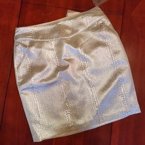 Shiney Champagne Skirt